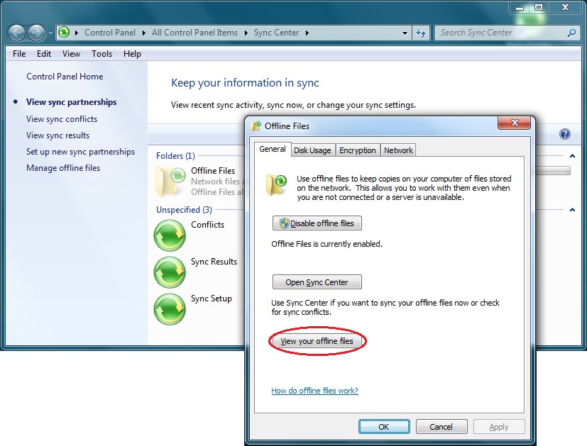 Windows 7 Offline Files Service